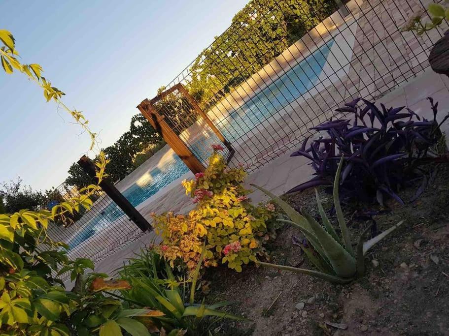 Casa Rural Alma Totanés Zewnętrze zdjęcie